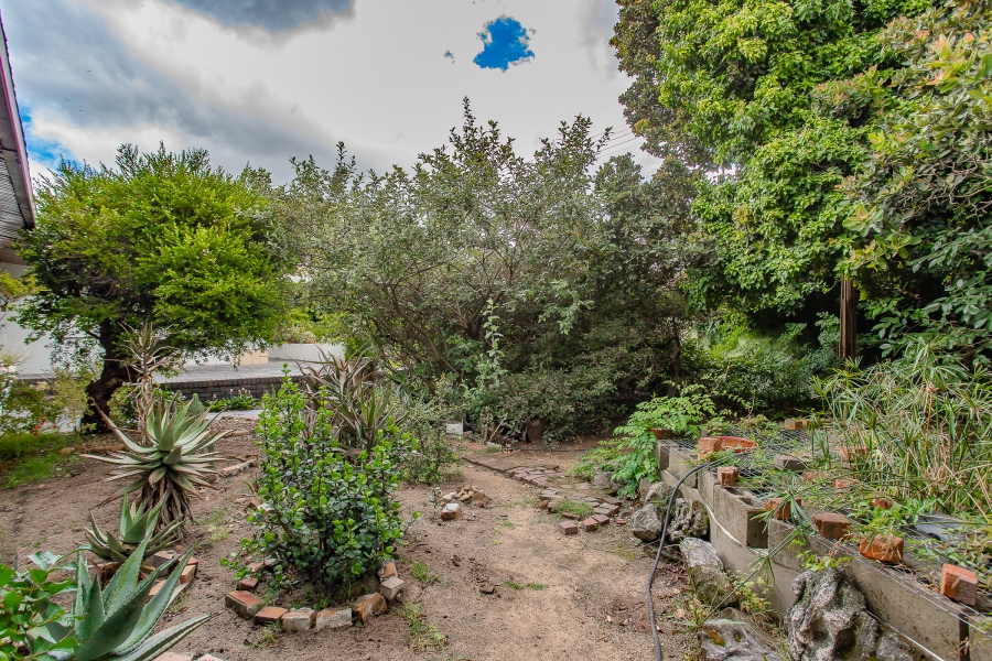 To Let 3 Bedroom Property for Rent in Denneburg Western Cape